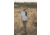 Outdoor Research Timberline Pant - Womens