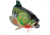 Outside Inside Large Mouth Bass Birdhouse 99806