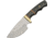 Pakistan 9.5Buffalo Skinner Horn Ws