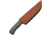 Pakistan Ash Hunter, PA203507