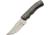 Pakistan Ash Hunter, PA203507