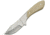 Pakistan Bone Handle Skinner Fixed Blade Knife, 3in, White, Smooth Bone Handle PA3343