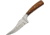 Pakistan Poorman's Skinner, PA203366