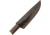 Pakistan Ursa Skinner, PA203518
