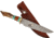 Paladin Fixed Blade Knife - Bear Engraving, 5in, Stainless Steel, Bowie, Brown Crown Stag Handle, PE-CS-8503-B