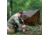 Pathfinder Nylon Tarp, 7.8 x 7.8in, Earth Brown, EBT-PF