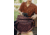 Peak Design Everyday 15 Liters Tote Bag, Eclipse, BEDT-15-EP-3