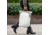 Peak Design Everyday Totepack v2, 20 Liters, Bone, BEDTP-20-BO-2