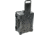 Pelican 1610TP Protector Case Lighting Insert, Black, 016100-0050-110
