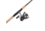 Penn Fishing Battle III Combo, 6.2/1, Right/Left, 2000, 6ft. 6in. Rod Length, Medium Light Power, Fast Action, 1 Piece Rod, Black/Gold, BTLIII2000661ML