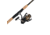 Penn Fishing Battle III Combo, 6.2/1, Right/Left, 2500, 7ft. Rod Length, Medium Light Power, Fast Action, 1 Piece Rod, Black/Gold, BTLIII2500701ML
