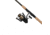 Penn Fishing Battle III Combo, 6.2/1, Right/Left, 4000, 7ft. Rod Length, Medium Power, Fast Action, 3 Pieces Rod, Black/Gold, BTLIII4000703MTRVL