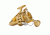 Penn Fishing TRQII5500 TORQUE II 5500 GLD SPIN REEL 1339432
