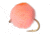 Perfect Hatch Wet Burnt Egg, Salmon Egg, #12, PHFLY637312P