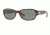 Persol PO3022S Single Vision Prescription Sunglasses PO3022S-24-31-5618 - Lens Diameter 56 mm, Frame Color Havana