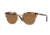 Persol PO3105S Bifocal Prescription Sunglasses PO3105S-985-57-51 - Lens Diameter 51 mm, Frame Color Tabacco Virginia