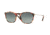 Persol PO3124S Sunglasses 105971-50 - Pink Havana-brown Frame, Grey Gradient Dark Grey Lenses