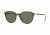 Persol PO3169S Single Vision Prescription Sunglasses PO3169S-105431-50 - Lens Diameter 50 mm, Frame Color Dark Havana