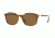 Persol PO3182S Progressive Prescription Sunglasses PO3182S-104357-51 - Lens Diameter 51 mm, Frame Color Havana