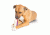 Petsafe Busy Buddy Ultra Super Sub, White/Purple, Small, BB-ULT-SUB-S