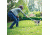 Petsafe Elite Little Dog In-Ground Fence Receiver w/Collar, For Dogs 5lbs and Up/Fits Neck Size 6-16in PIG19-11042