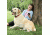 Petsafe Stubborn Dog Wireless Receiver Collar, For Dogs 5lbs and Up/Fits Neck size 6-28in, Red PIF00-13672