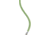 Petzl 10.1mm Mambo Rope, Green, 50 m, R32AD 050
