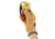 Petzl Mini Traxion Progress-Capture Pulley, One Size, P054AA00
