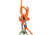 Petzl Pirana Guide Descender, Orange, D005AB00