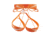 Petzl Sitta Climbing Harness, Orange, Small, C011AA01