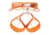 Petzl Sitta Climbing Harness, Orange, Small, C011AA01