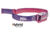 Petzl Tikkid Headlamp, Pink, E091BA01