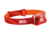 Petzl Tikkina 300 Lumen Headlamp, Red, E060AA03