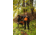 Poler NHL Napsack, Flyers, Extra Large, 214CLU5502-Flyers-XL