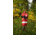 Poler NHL Napsack, Redwings, Small, 214CLU5502-Redwings-S