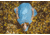 Poler Willow Poncho-Sky