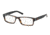 Polo PH2119 Eyeglass Frames 5003-55 - Havana Frame