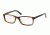 Polo PH2143 Eyeglass Frames 5549-53 - Jerry Tortoise Frame