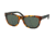 Polo PH4091 Bifocal Prescription Sunglasses PH4091-550171-55 - Lens Diameter 55 mm, Frame Color Vintage Tokio Tortoise
