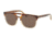 Polo PH4125 Single Vision Prescription Sunglasses PH4125-563773-54 - Lens Diameter 54 mm, Frame Color Light Havana On Pinot Grigio