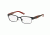 Polo PP8036 Eyeglass Frames 3134-44 - Matte Navy/tortoise Orange Frame