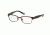 Polo PP8036 Eyeglass Frames 3135-44 - Satin Brown/tortoise Green Frame