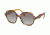 Prada PR06US Sunglasses TH63E2-52 - Havana/ears Bordeaux Yellow Frame, Grey Gradient Lenses