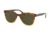 Prada PR08USF Sunglasses NKO4J1-54 - Havana Gradient Yellow Frame, Dark Green Lenses