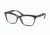 Prada PR24SVF Eyeglass Frames UEQ1O1-55 - Striped Violet Frame
