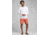 prAna High Seas Boardshort, Monarch Big Island, 28 Waist, M3HSEA116 -842-28