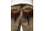 prAna Hybridizer Shorts - Mens, 8in, Dark Khaki, 32, 1965291-250-08-32
