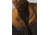 prAna Red Slate Vest, Walnut Colorblock, Large, M13202594-WACX-L