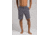 prAna Rotham Short - Men's, Granite, 28, 9in, M31191496-GRAN-28