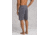 prAna Rotham Short 9 Inch Inseam, Granite, 28 Waist, M31191496 -022-28